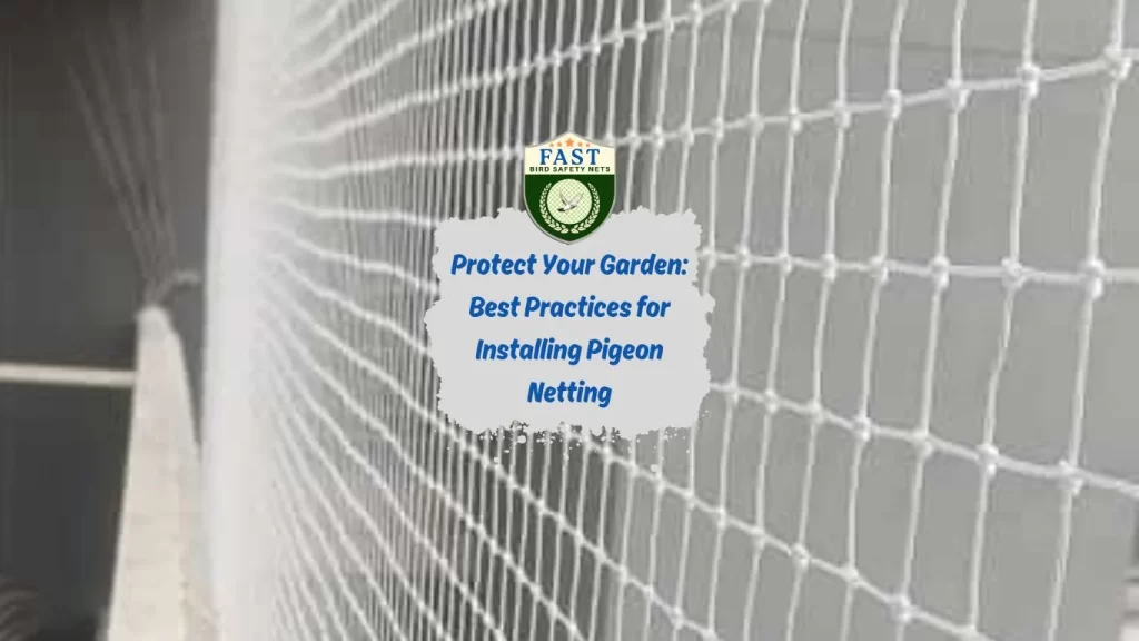 Protect Your Garden: Best Practices for Installing Pigeon Netting