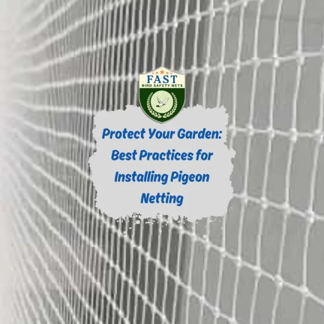 Protect Your Garden: Best Practices for Installing Pigeon Netting