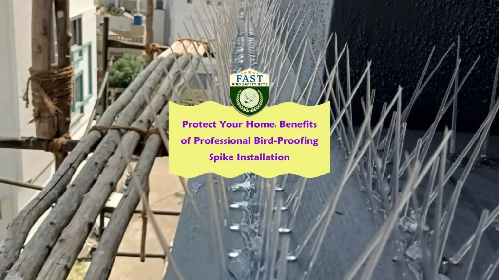 Protect Your Home: Benefits of Professional Bird-Proofing Spike Installation