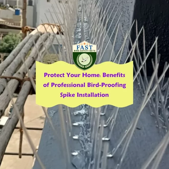 Protect Your Home: Benefits of Professional Bird-Proofing Spike Installation