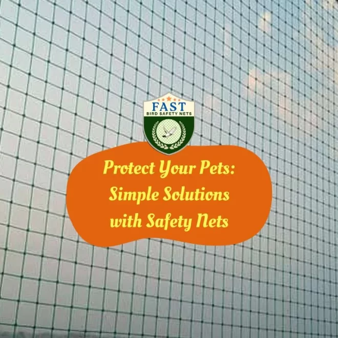 Protect Your Pets: Simple Solutions with Safety Net Solutions
