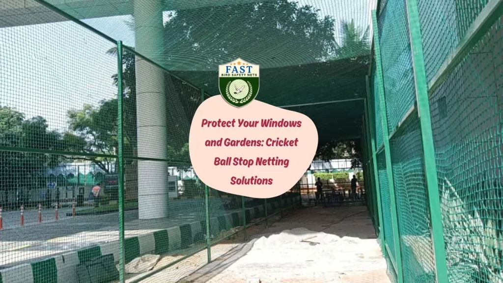 Protect Your Windows and Gardens: Cricket Ball Stop Netting Solutions