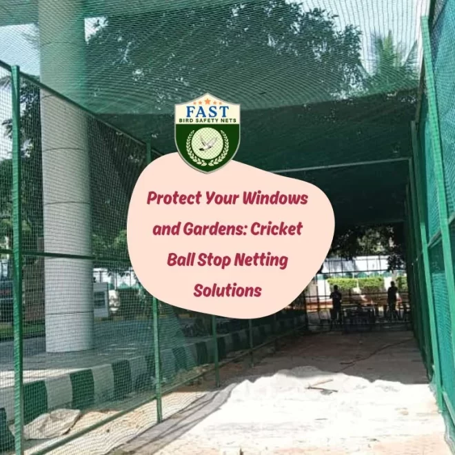 Protect Your Windows and Gardens: Cricket Ball Stop Netting Solutions