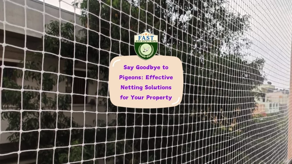 Say Goodbye to Pigeons: Effective Pigeon Netting Solutions for Your Property