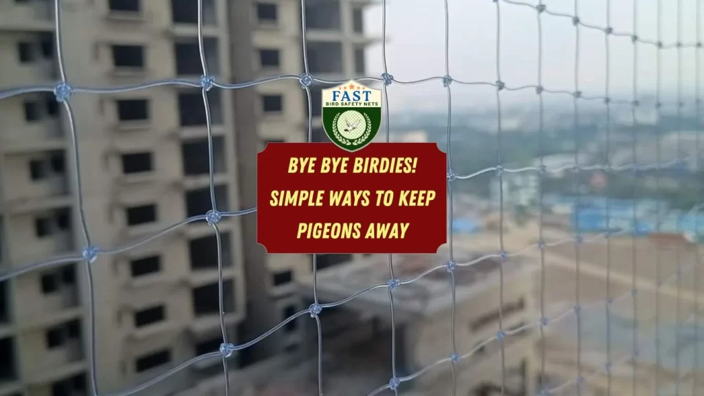 Bye Bye Birdies! Simple Ways to Keep Pigeons Away