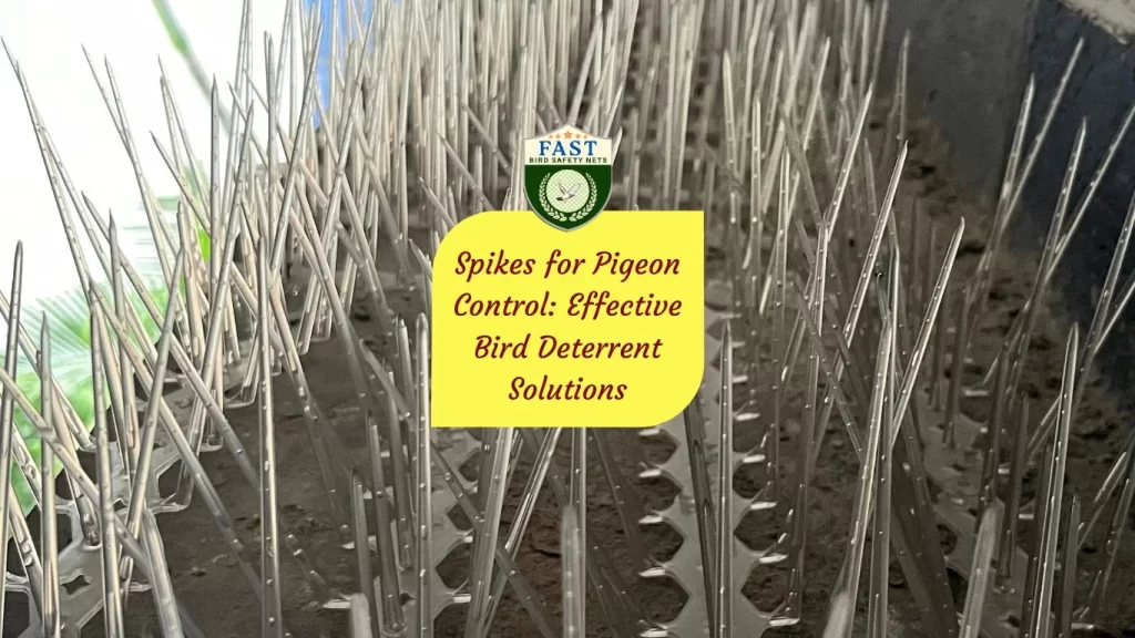 Spikes for Pigeon Control: Effective Bird Deterrent Solutions