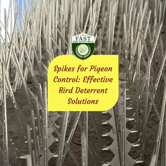 Spikes for Pigeon Control: Effective Bird Deterrent Solutions
