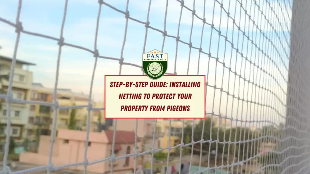 Step-by-Step Guide: Installing Netting to Protect Your Property from Pigeons