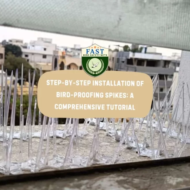Step-by-Step Installation of Bird-Proofing Spikes: A Comprehensive Tutorial