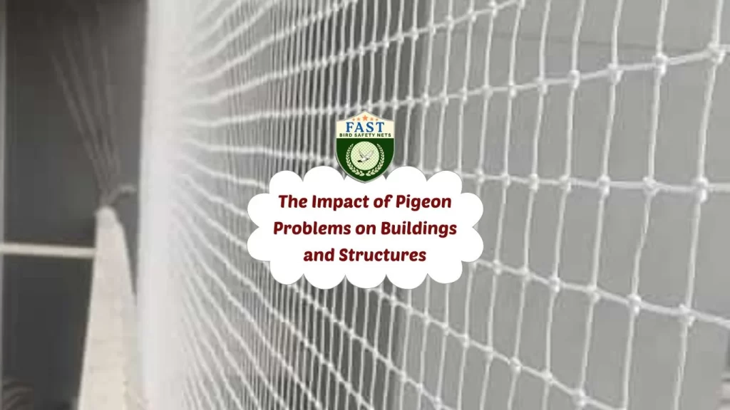 The Impact of Pigeon Problems on Buildings and Structures