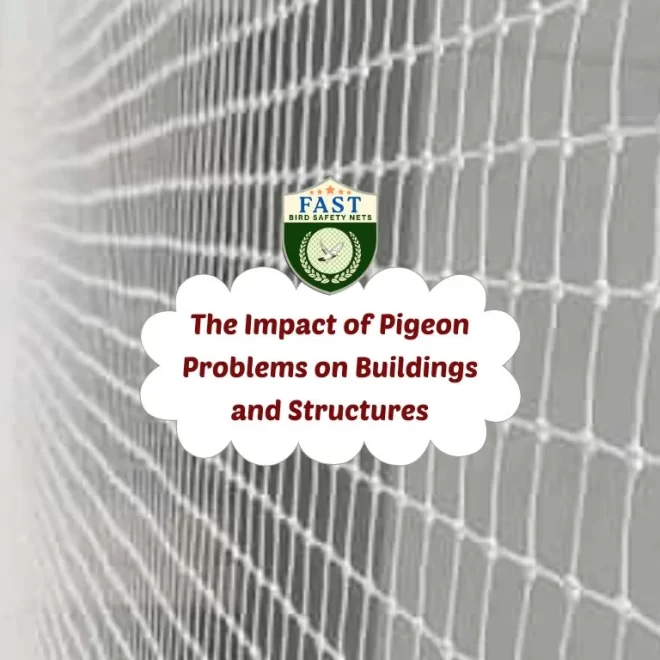 The Impact of Pigeon Problems on Buildings and Structures