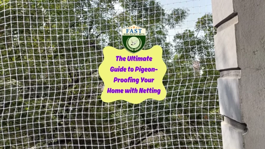 The Ultimate Guide to Pigeon-Proofing Your Home with Netting