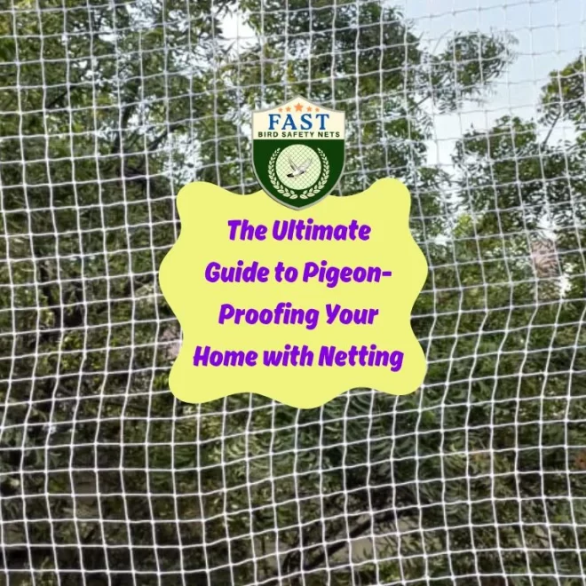 The Ultimate Guide to Pigeon-Proofing Your Home with Netting
