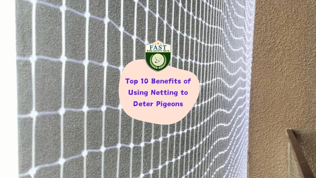 Top 10 Benefits of Using Netting to Deter Pigeons