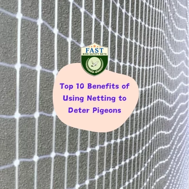 Top 10 Benefits of Using Netting to Deter Pigeons