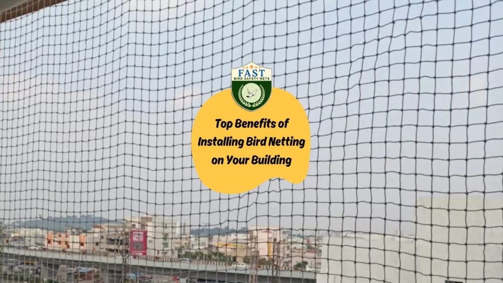 Top Benefits of Installing Bird Netting on Your Building