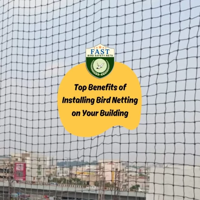 Top Benefits of Installing Bird Netting on Your Building