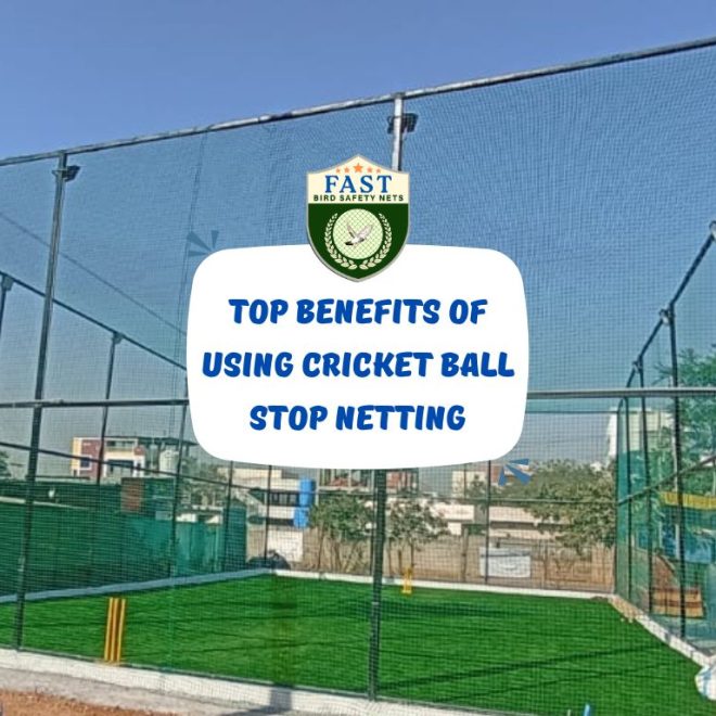 Top Benefits of Using Cricket Ball Stop Netting
