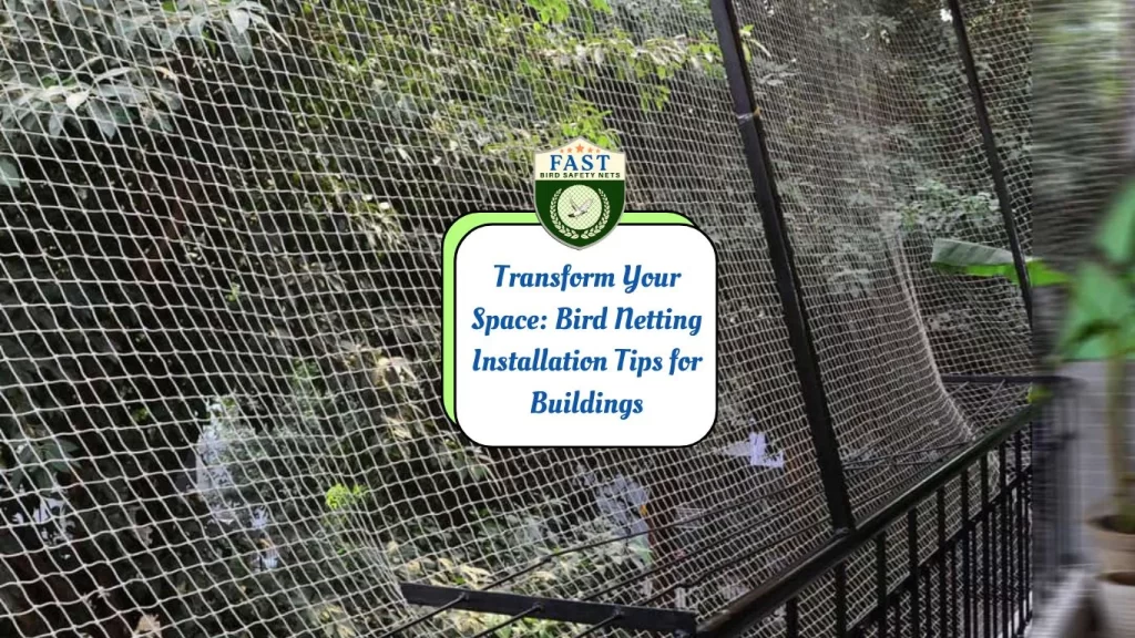 Transform Your Space: Bird Netting Installation Tips for Buildings