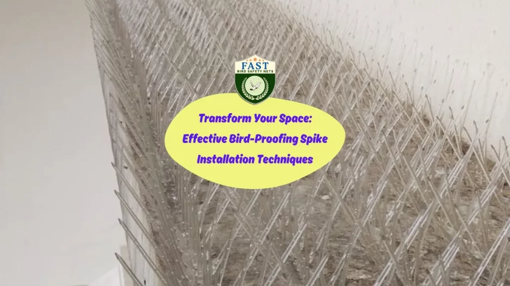 Transform Your Space: Effective Bird-Proofing Spike Installation Techniques