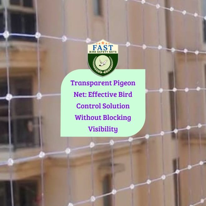 Transparent Pigeon Net in Hyderabad: Effective Bird Control Solution Without Blocking Visibility