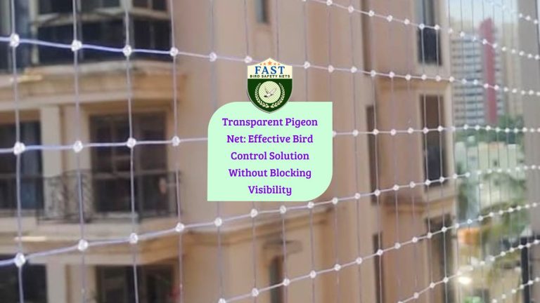 Transparent Pigeon Net in Hyderabad: Effective Bird Control Solution Without Blocking Visibility