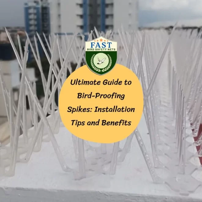 Ultimate Guide to Bird-Proofing Spikes: Installation Tips and Benefits