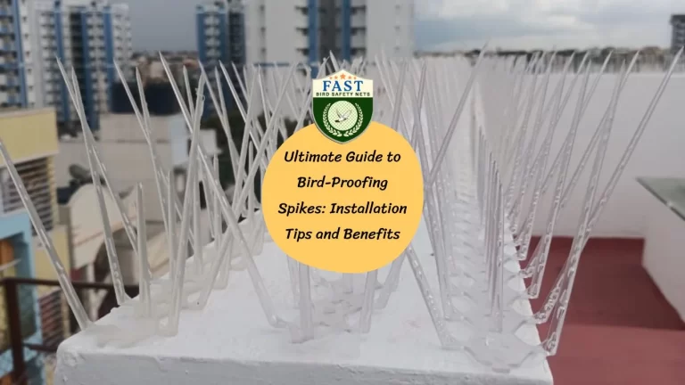 Ultimate Guide to Bird-Proofing Spikes: Installation Tips and Benefits