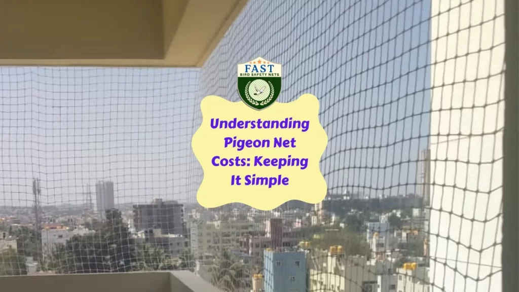 Understanding Pigeon Net Costs: Keeping It Simple