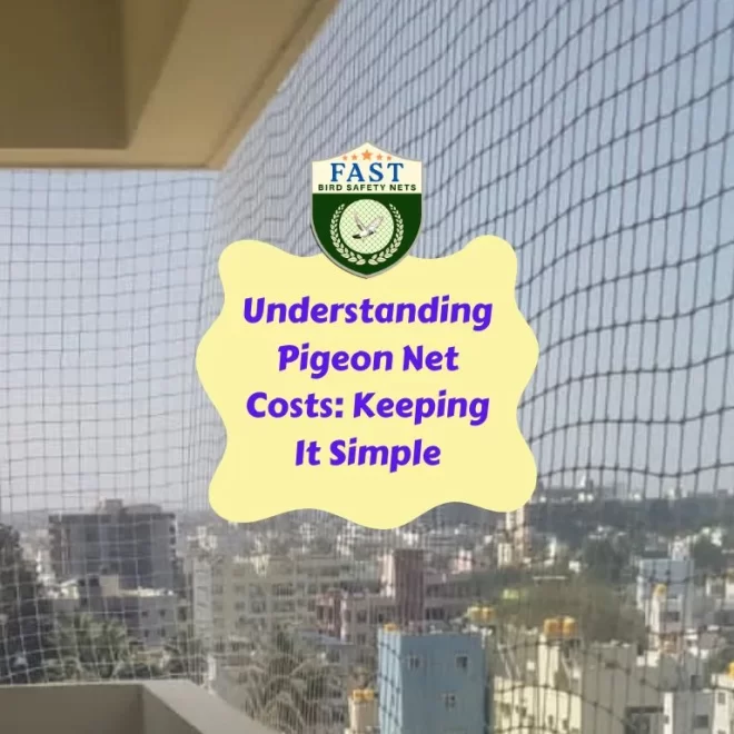 Understanding Pigeon Net Costs: Keeping It Simple