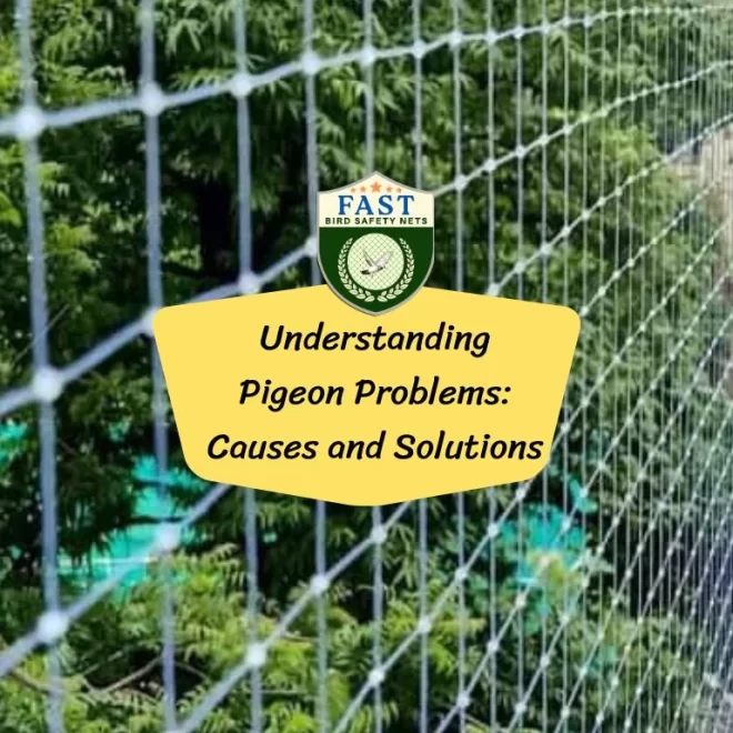 Understanding Pigeon Problems: Causes and Solutions