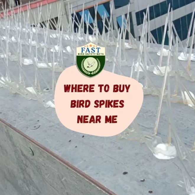 Where to Buy Bird Spikes Near Me