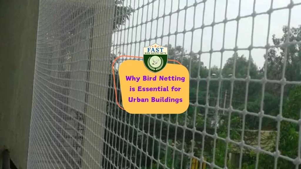 Why Bird Netting is Essential for Urban Buildings