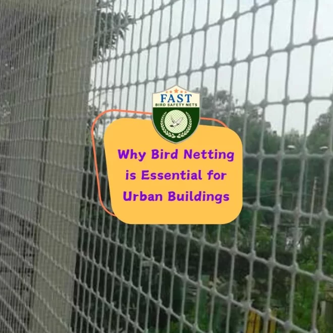 Why Bird Netting is Essential for Urban Buildings