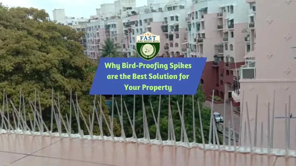 Why Bird-Proofing Spikes are the Best Solution for Your Property