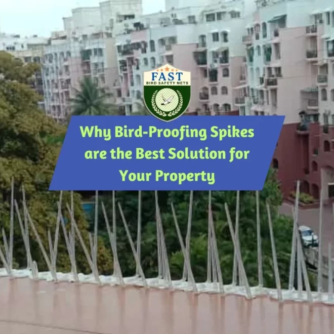 Why Bird-Proofing Spikes are the Best Solution for Your Property