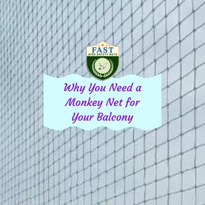 Why You Need a Monkey Net for Your Balcony