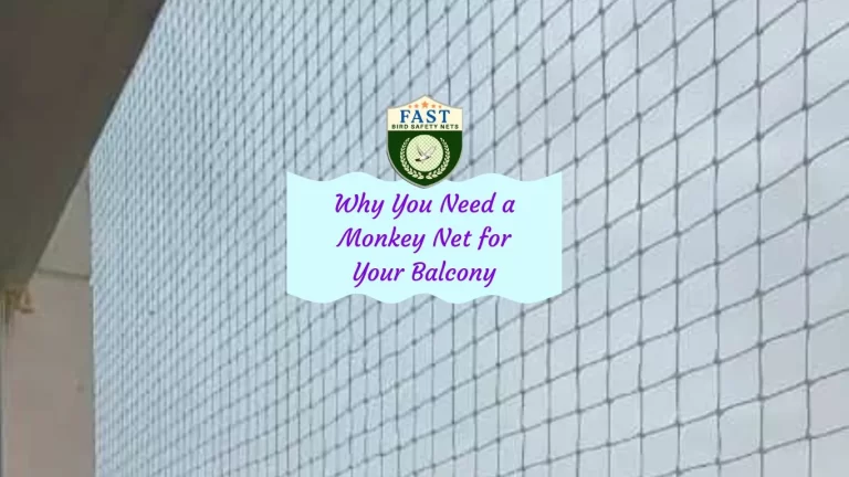 Why You Need a Monkey Net for Your Balcony