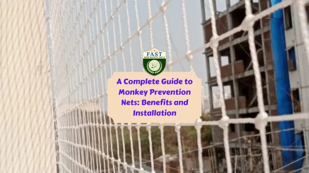 A Complete Guide to Monkey Prevention Nets: Benefits and Installation