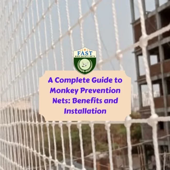 A Complete Guide to Monkey Prevention Nets: Benefits and Installation