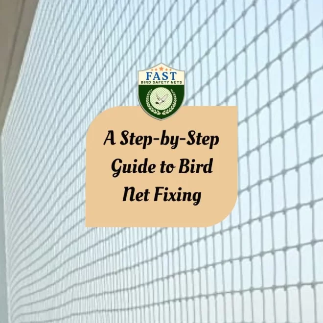 A Step-by-Step Guide to Bird Net Fixing