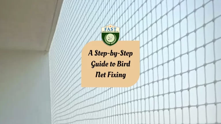 A Step-by-Step Guide to Bird Net Fixing