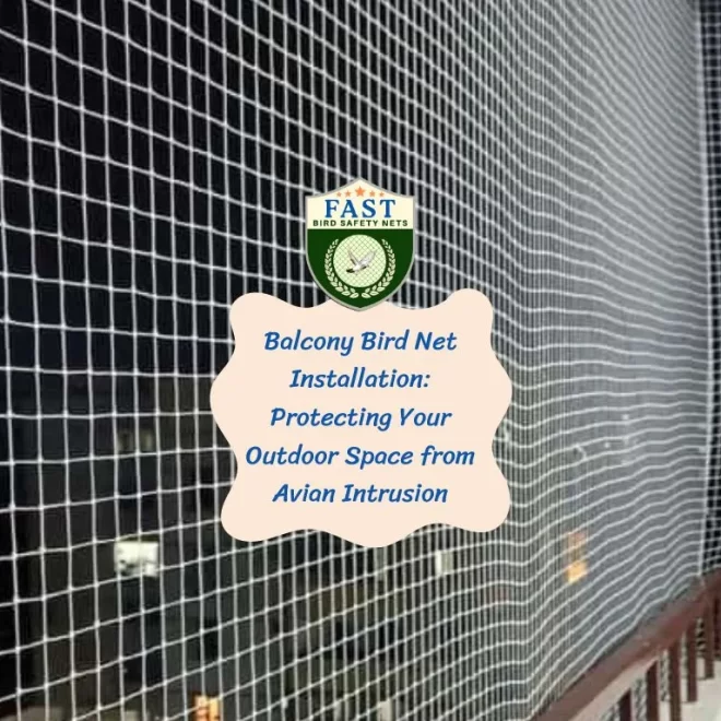Balcony Bird Net Installation: Protecting Your Outdoor Space from Avian Intrusion