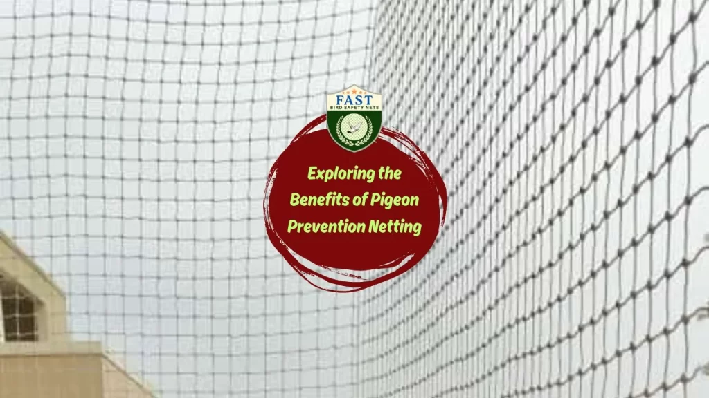 Exploring the Benefits of Pigeon Prevention Netting