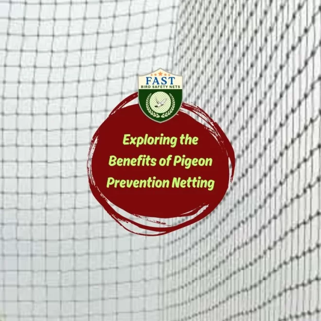 Exploring the Benefits of Pigeon Prevention Netting