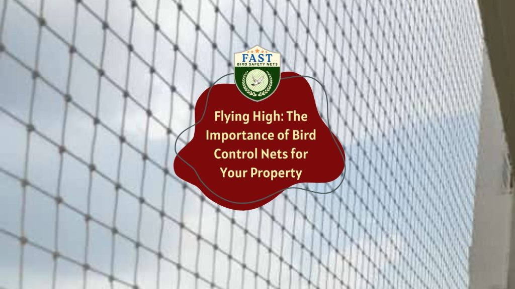 Flying High: The Importance of Bird Control Nets for Your Property