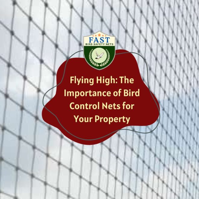 Flying High: The Importance of Bird Control Nets for Your Property
