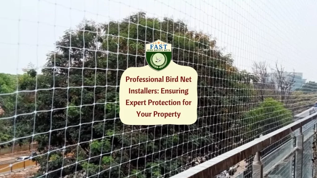 Professional Bird Net Installers: Ensuring Expert Protection for Your Property