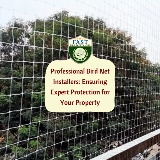 Professional Bird Net Installers: Ensuring Expert Protection for Your Property