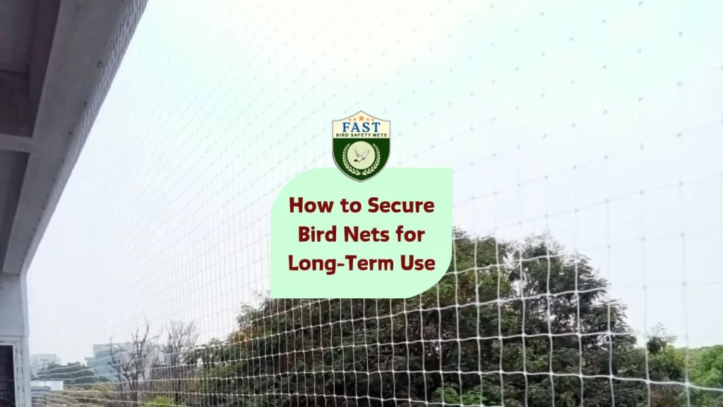 How to Secure Bird Nets for Long-Term Use